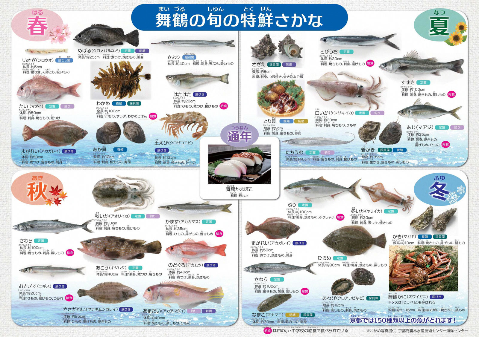 舞鶴 旬 の 魚